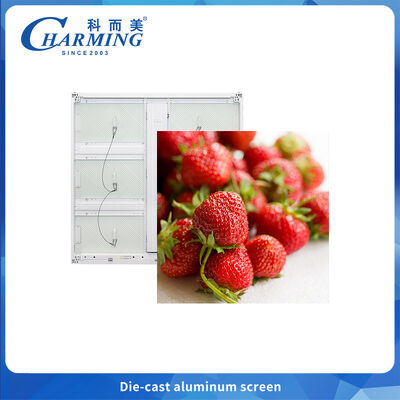 P6 Digitaal Led Buitenwaterdicht Voetbalstadion Groot Led Advertentiebord Scherm