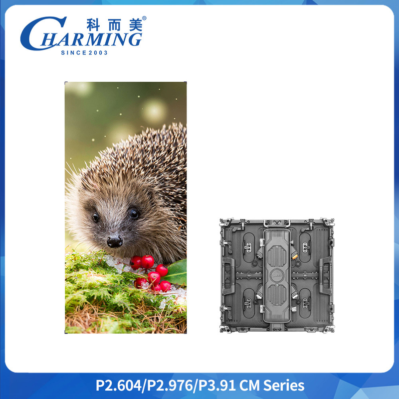 P2.98 P3.91 Ultralichte IP65 buiten LED-displaykasten