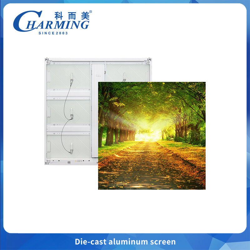 LED-scherm met IP65 waterdichte bescherming en energie-efficiëntie van 220 W/m2